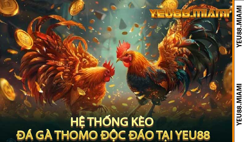 Hệ Thống Kèo Đá Gà Thomo Độc Đáo Tại Yeu88